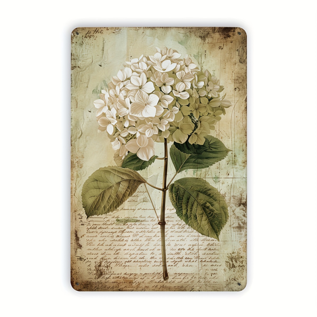 Home Gym In Garage - Papan Besi Vintage Motif Hydrangea 2D,
