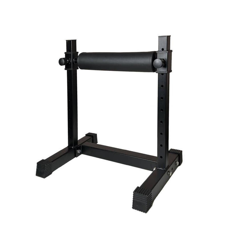 Home Gym Designs - Stand Squat Kaki Tunggal yang Dapat