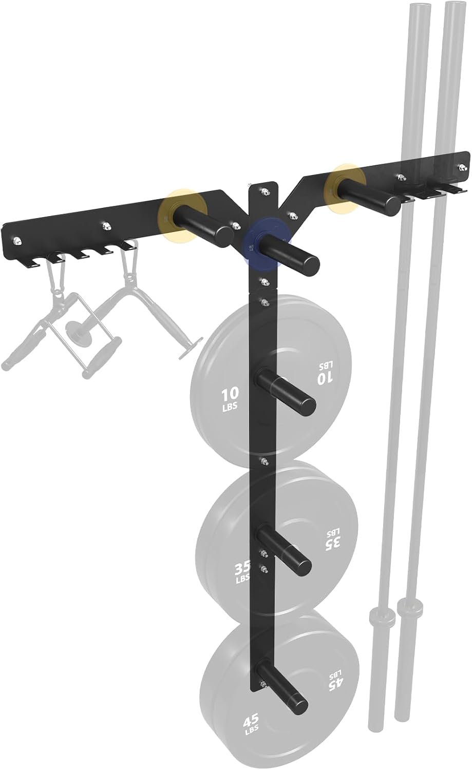 Home Gym In Garage - Rak Penyimpanan Pelat Beban yang Dipasang