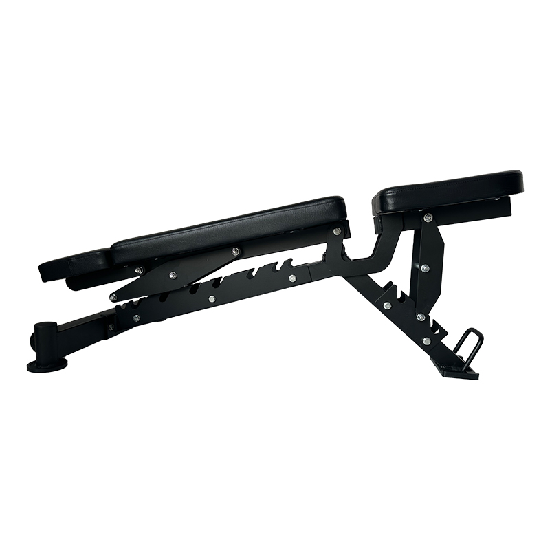 Bangku Dumbbell Komersial Mult - Home Gym Bench ulasan dan harga
