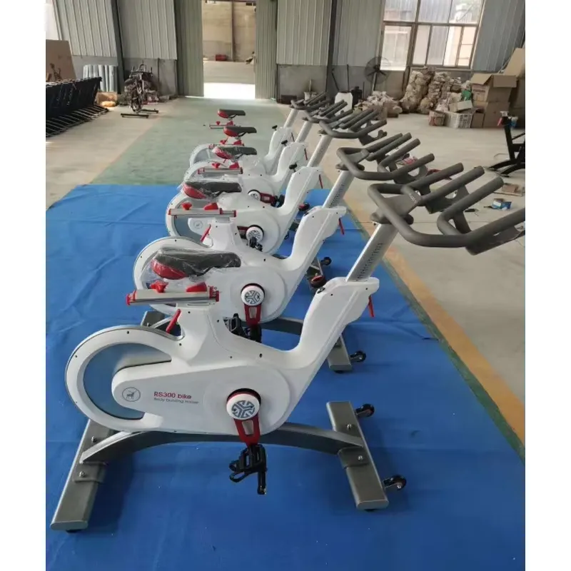 Sepeda Spinning Magnetik Profe - Home Gym Bike ulasan dan harga