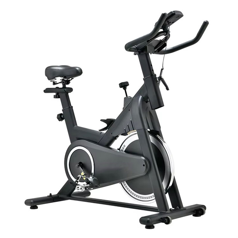 Sepeda Statis Profesional untu - Home Gym Bike ulasan dan harga