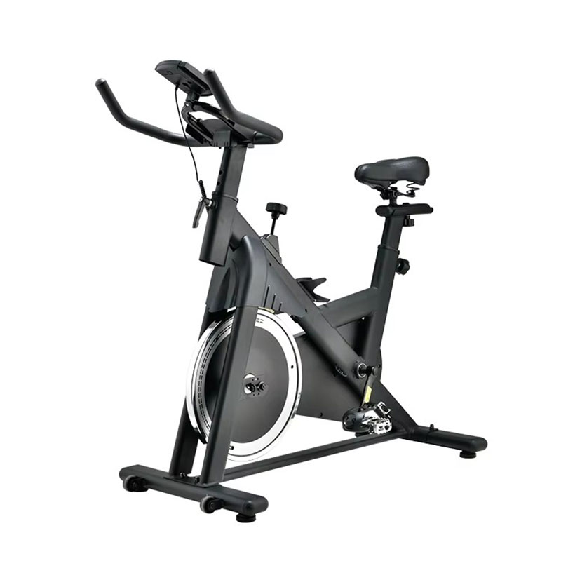 Sepeda Statis Profesional untu - Home Gym Bike ulasan dan harga
