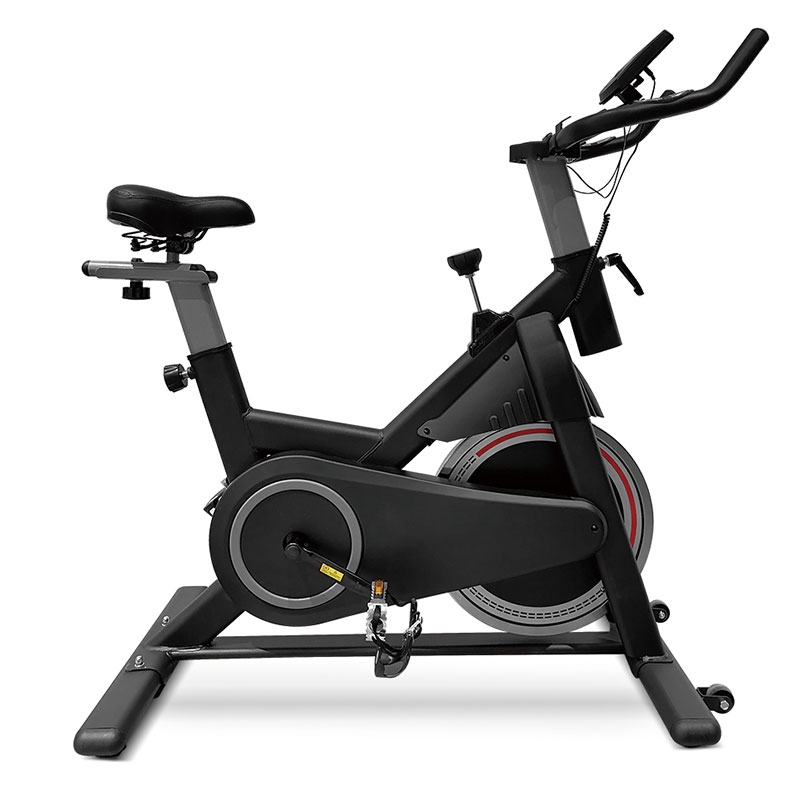 Sepeda Statis Profesional untu - Home Gym Bike ulasan dan harga