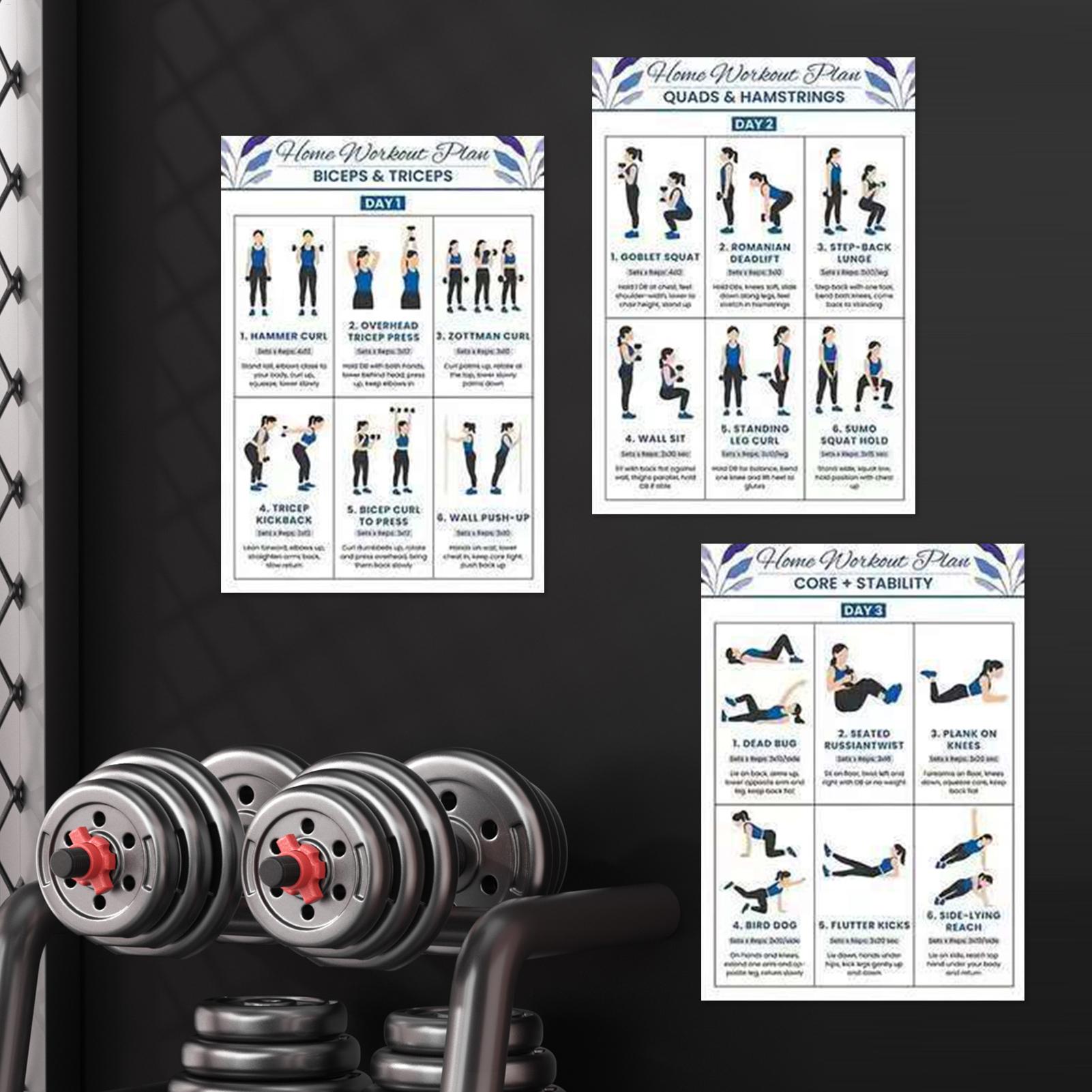 6 Buah Poster Latihan Peregang - Home Gym Dumbbell Workout ulasan dan harga